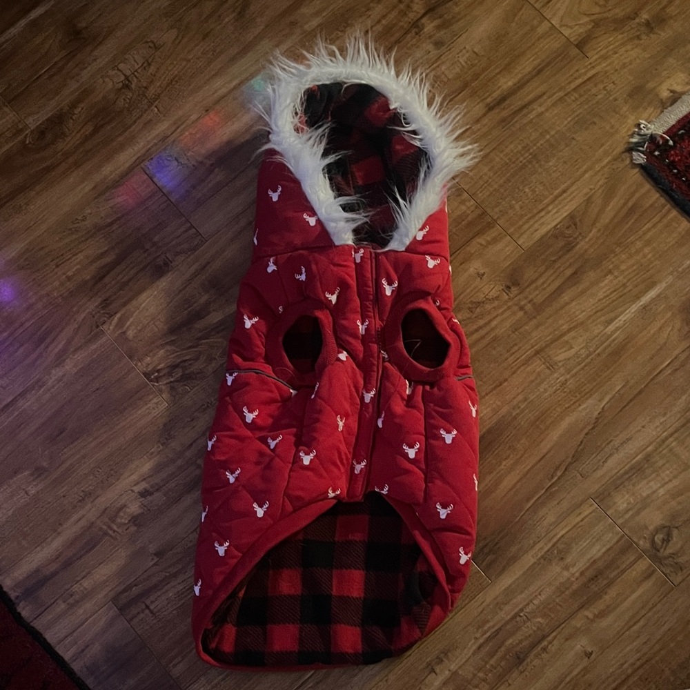 Dog Hooded Jacket with White Accents